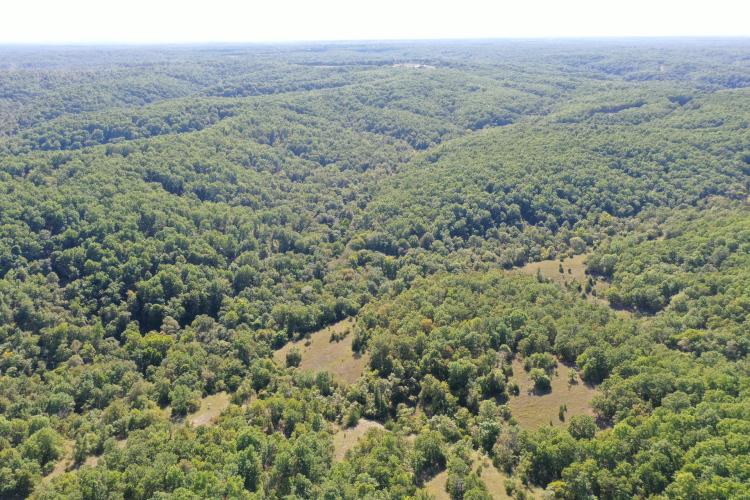 18.63 Acres of the Best All Around Recreational Properties