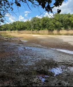 tbd-n-amp-s-mud-flats-b-0