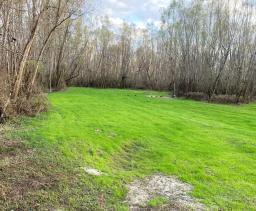 tbd-n-amp-s-mud-flats-b-2
