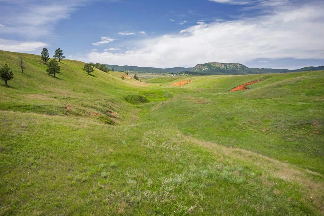 Red Hawk Acreage - Sundance, Wyoming