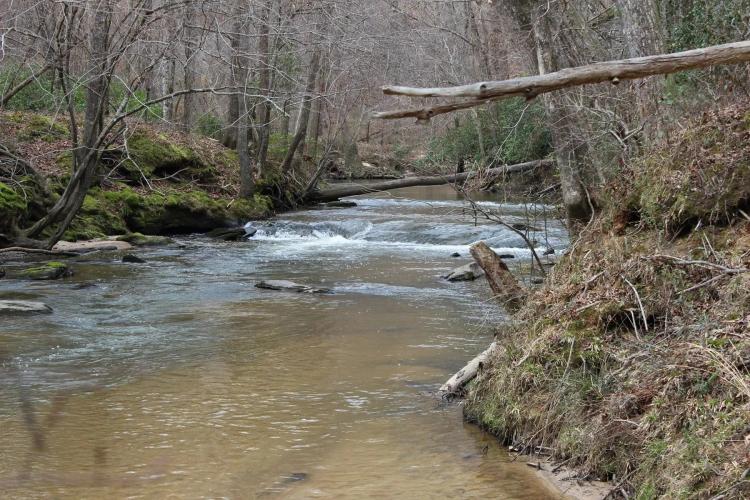 131-Acres of Riverfront Land in Loganville, GA for Sale