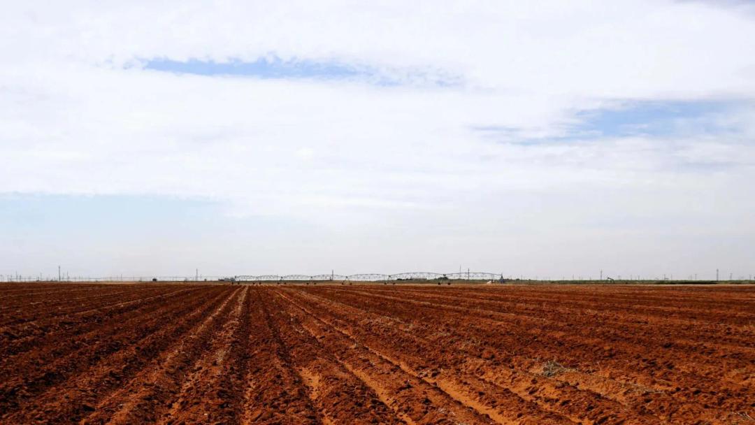 Productive 160± Acre Irrigated Farm in Yoakum County