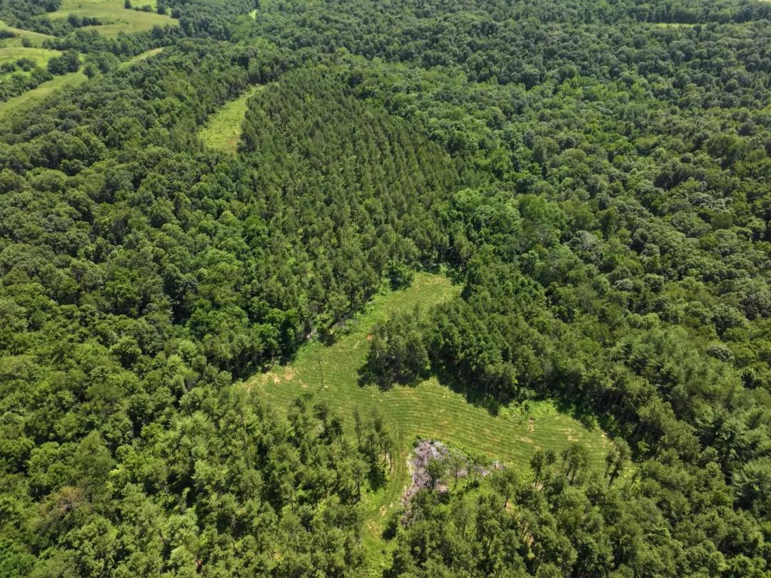 Ohio Hunting Land Auction