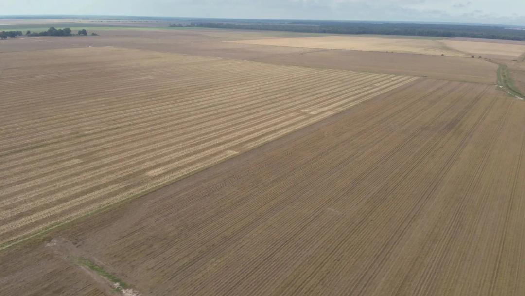 LA - Morehouse Parish 320 acres +/-