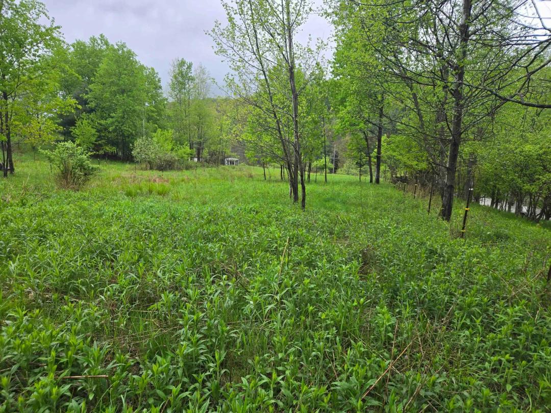 4 acre Building Lot in Bolivar NY Mead Hollow Rd
