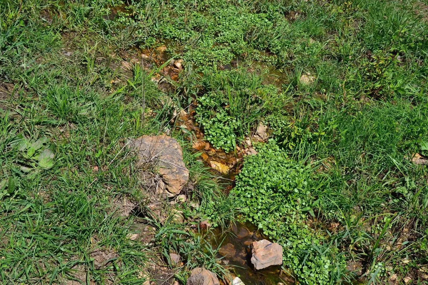 72817543-29