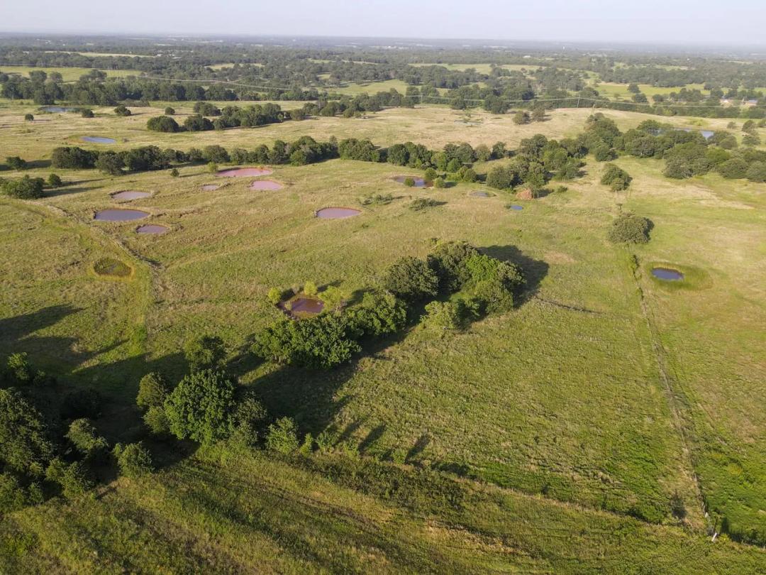 64+/- Acres with multiple Ponds & Prime Homesite Potential!