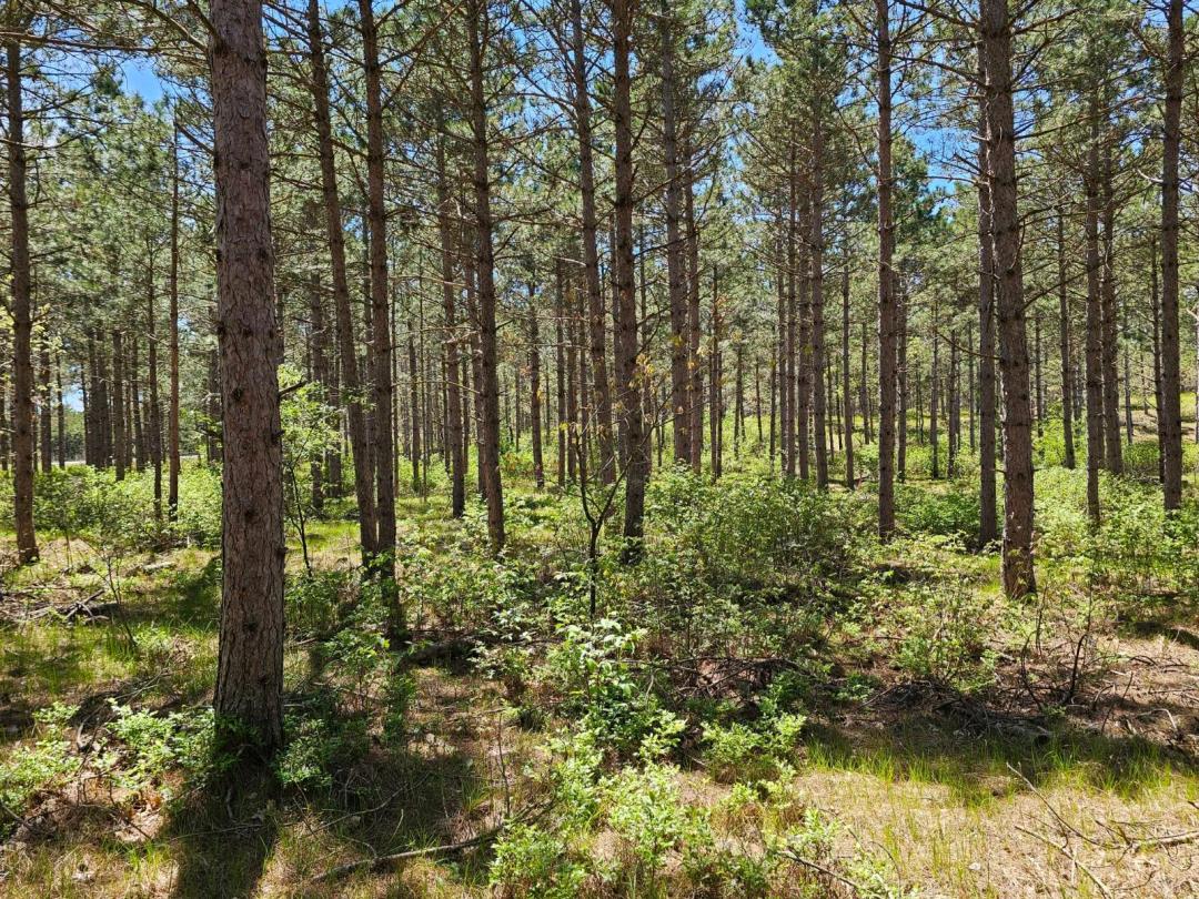 Sportsman's Retreat near Lake Petenwell and Tri Lakes of Rome