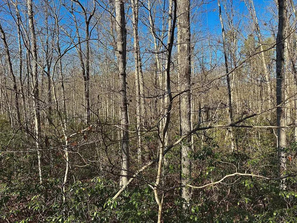 Lot 35 Wilson Ridge Rd