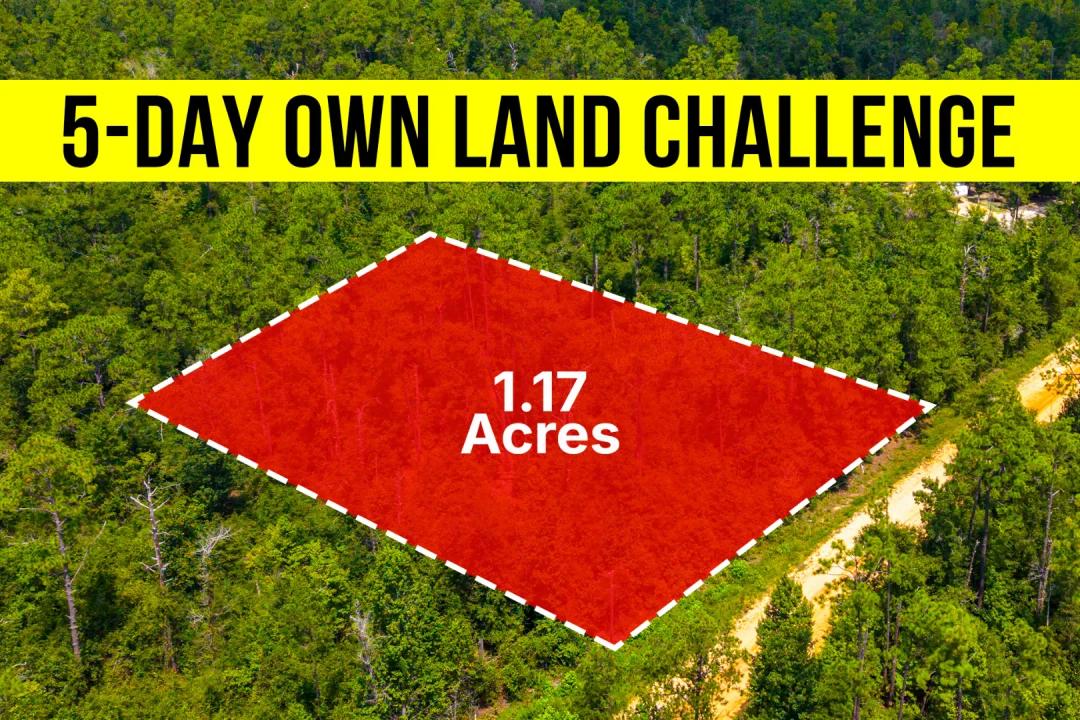 Own A 1.17-Acre Low-Density Lot In FL, Near Local Lakes - Owner Financing