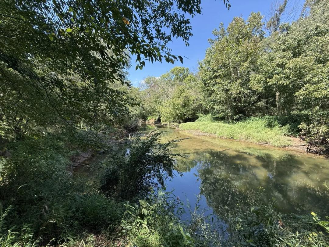 14.88 Acres at 13314 Baker Mills Rd