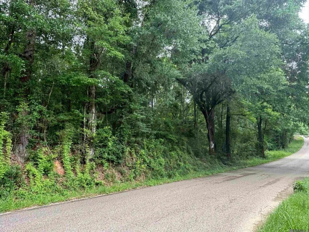 Property from TBD Sie Jenkins Road - KW