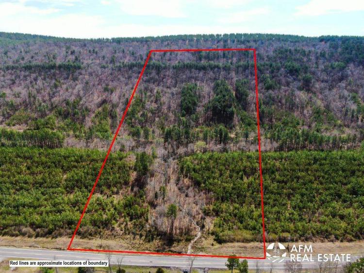 23.10 Acres at lot 2 State Highway 144