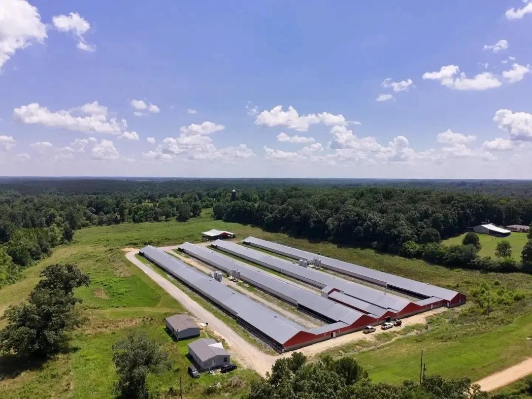 Mughal Breeder Farm – Four House Breeder Farm in Phil Campbell, Alabama