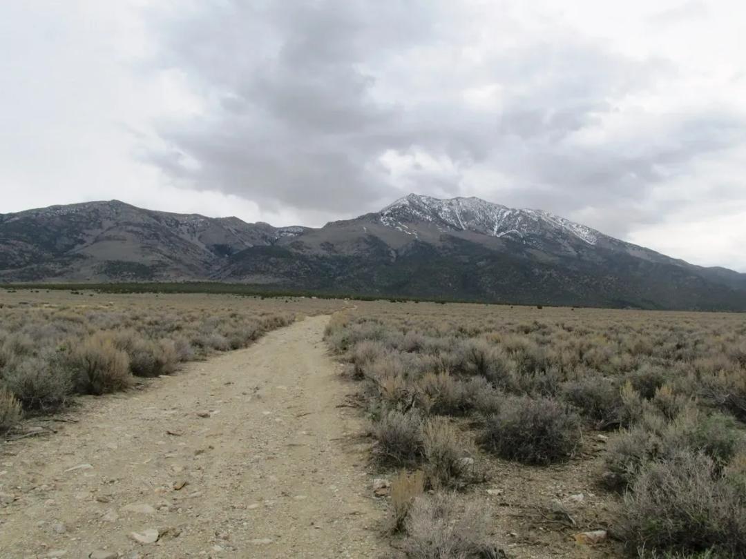 Over Two Acre Mini Ranch in NE Nevada - Great Roads and Views