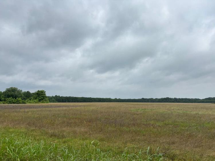Lincoln County 178+- acre Row Crop Farm