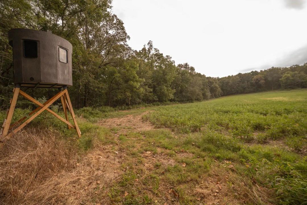 Premier 40±-Acre Hunting Property – Montgomery County