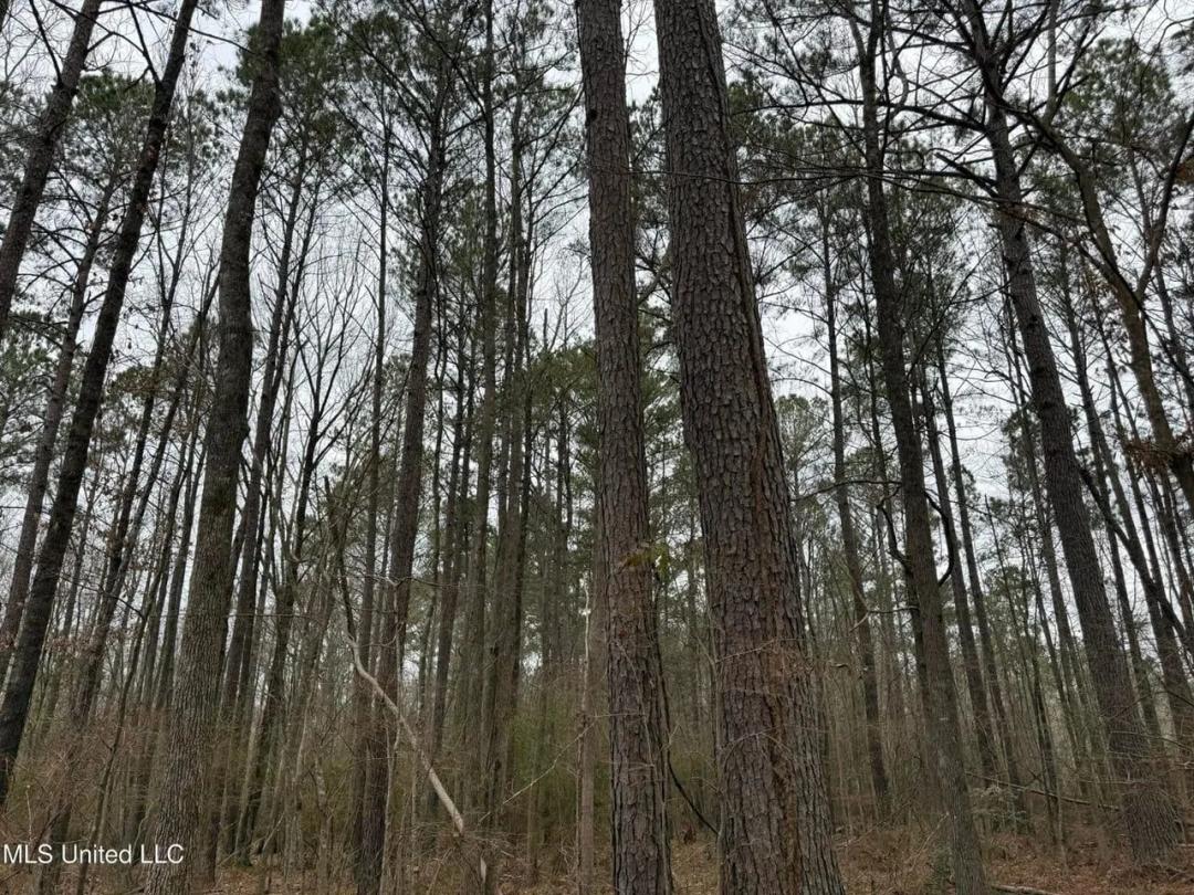 Residential Lot for Sale in Pearl, MS
