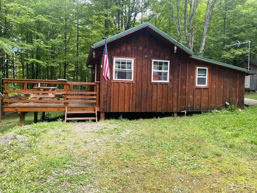 Cabin on 3 acres bordering State Land in Canaseraga NY 9516 Gas Springs Rd