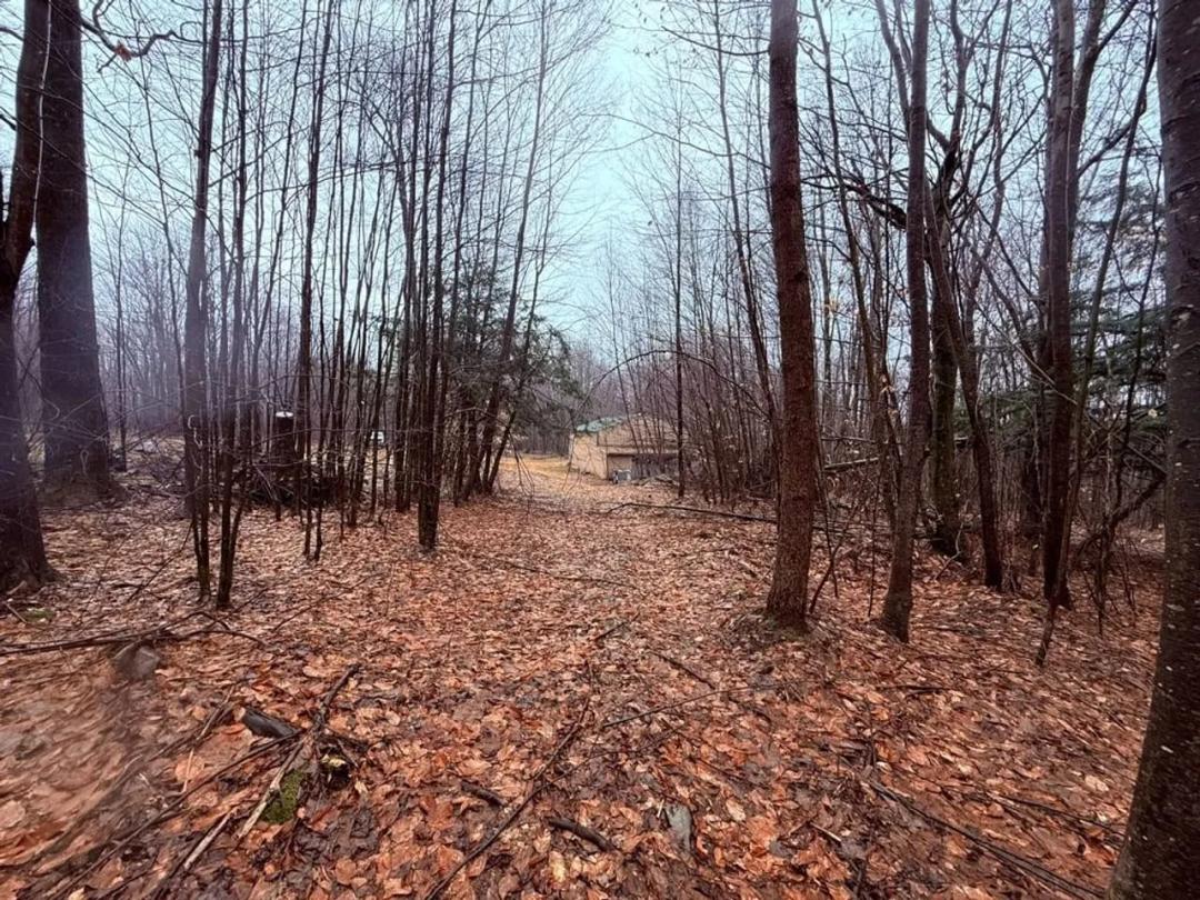 Secluded Small Acreage in Desirable Recreational Area Bordering Public Hunting Grounds