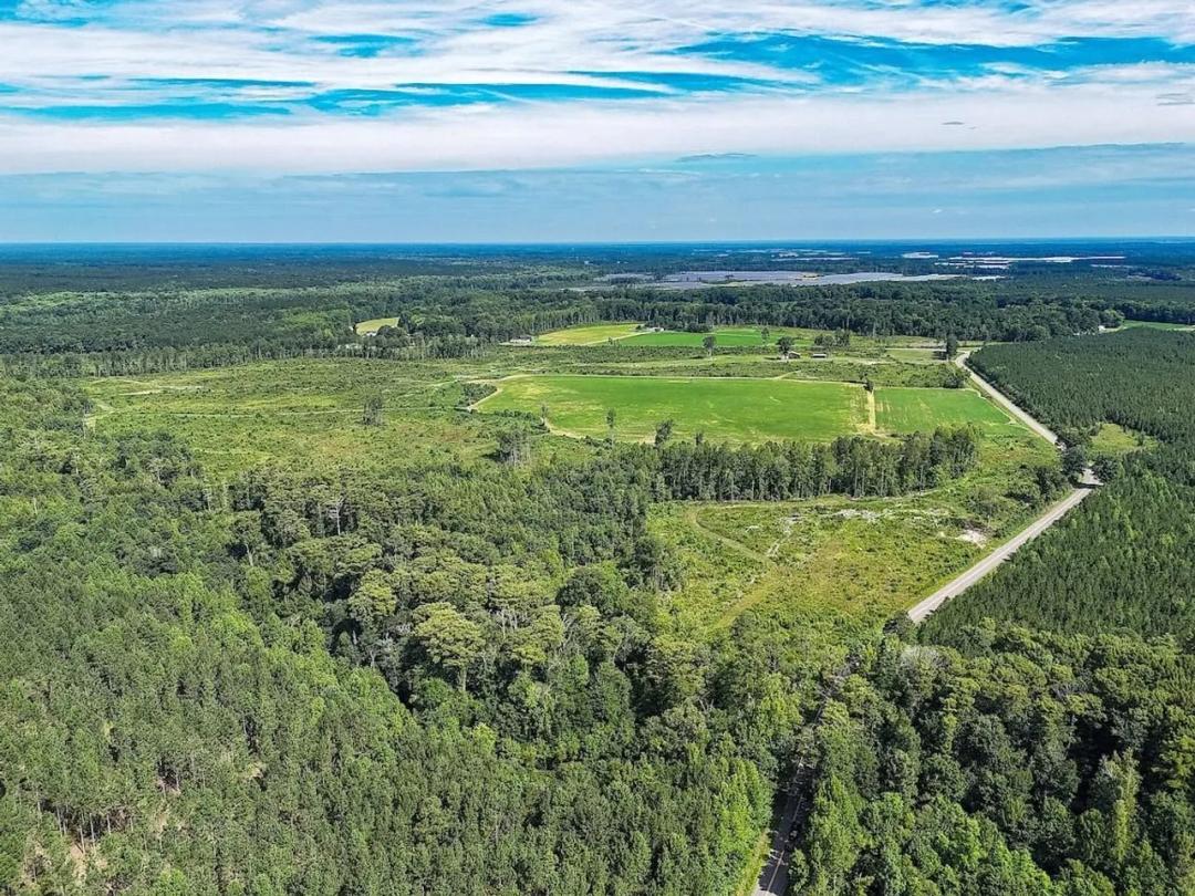 19.2 Acres of Residential, Timber and Hunting Land for Sale in Surry County VA!