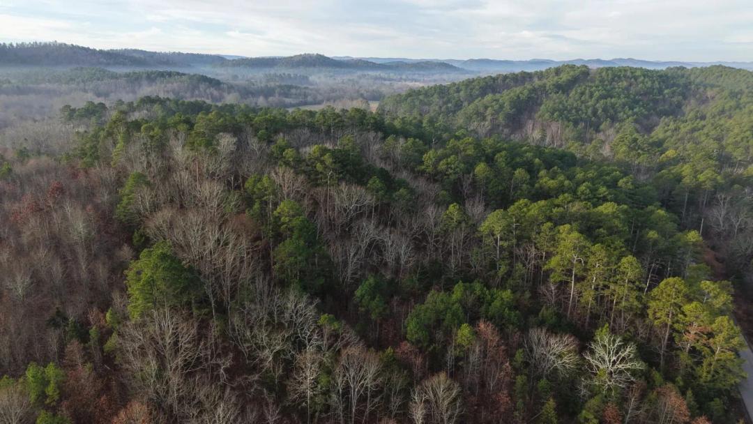  9.86 Acres [Tract 2] in Montgomery County, AR