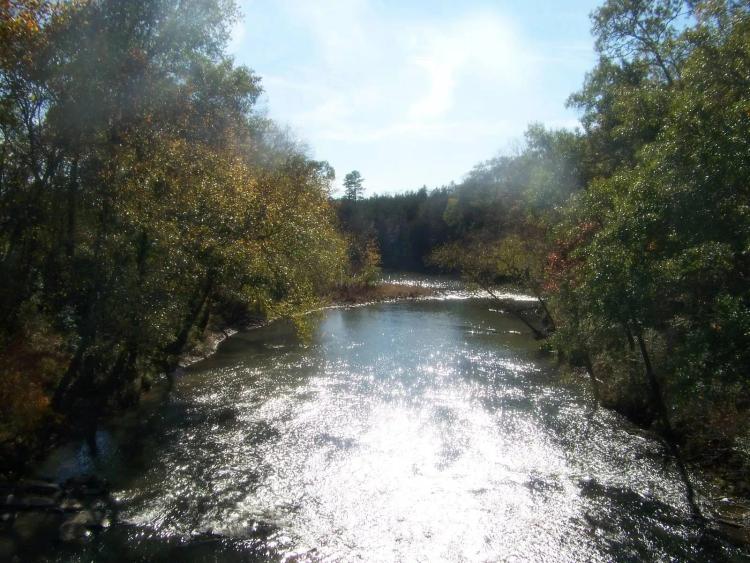 LITTLE RIVER 85 ACRES