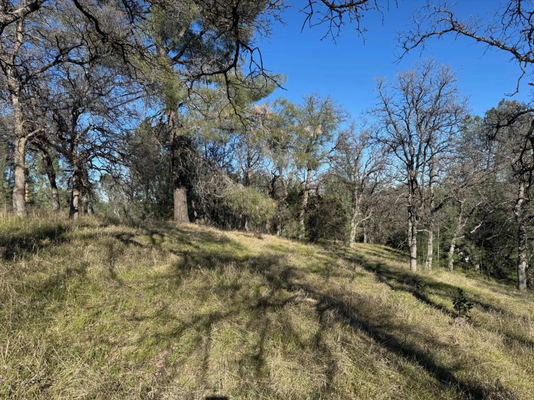 2.08 Acres at 16380 Hillcrest Rd
