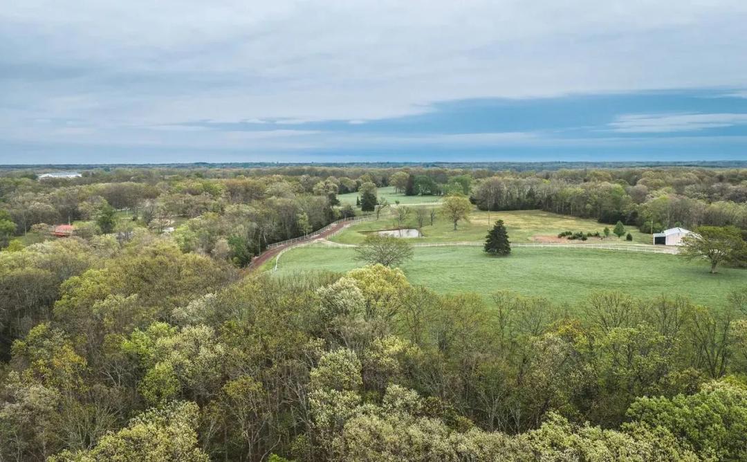 Cleavesville Road Farm Auction Tract 1