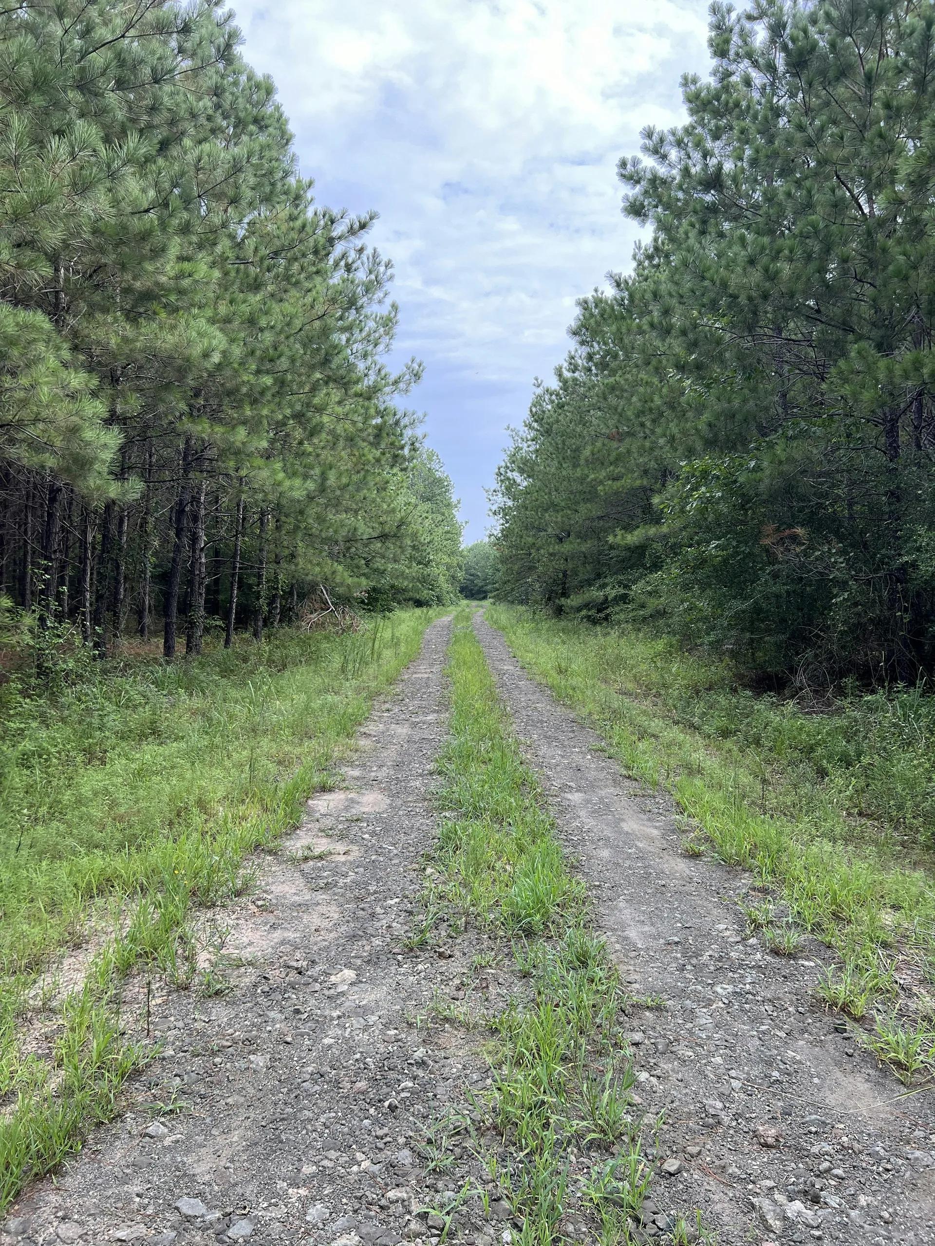 73202358-6