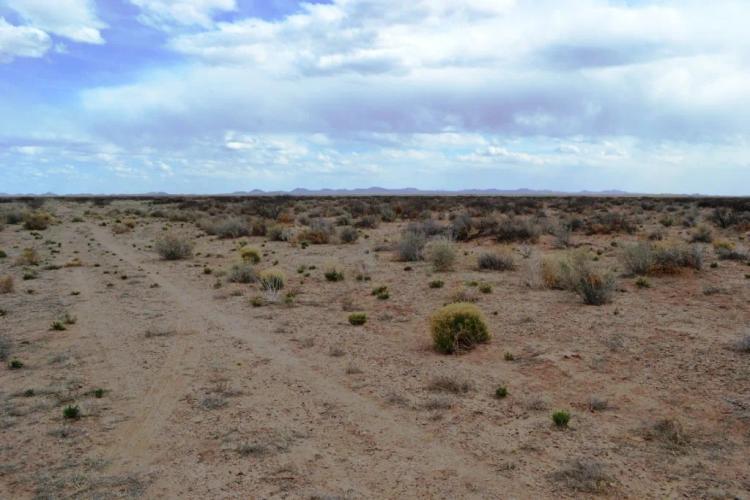 Star filled night skies - Unpopulated - 1 acre 2 lots Southern New Mexico