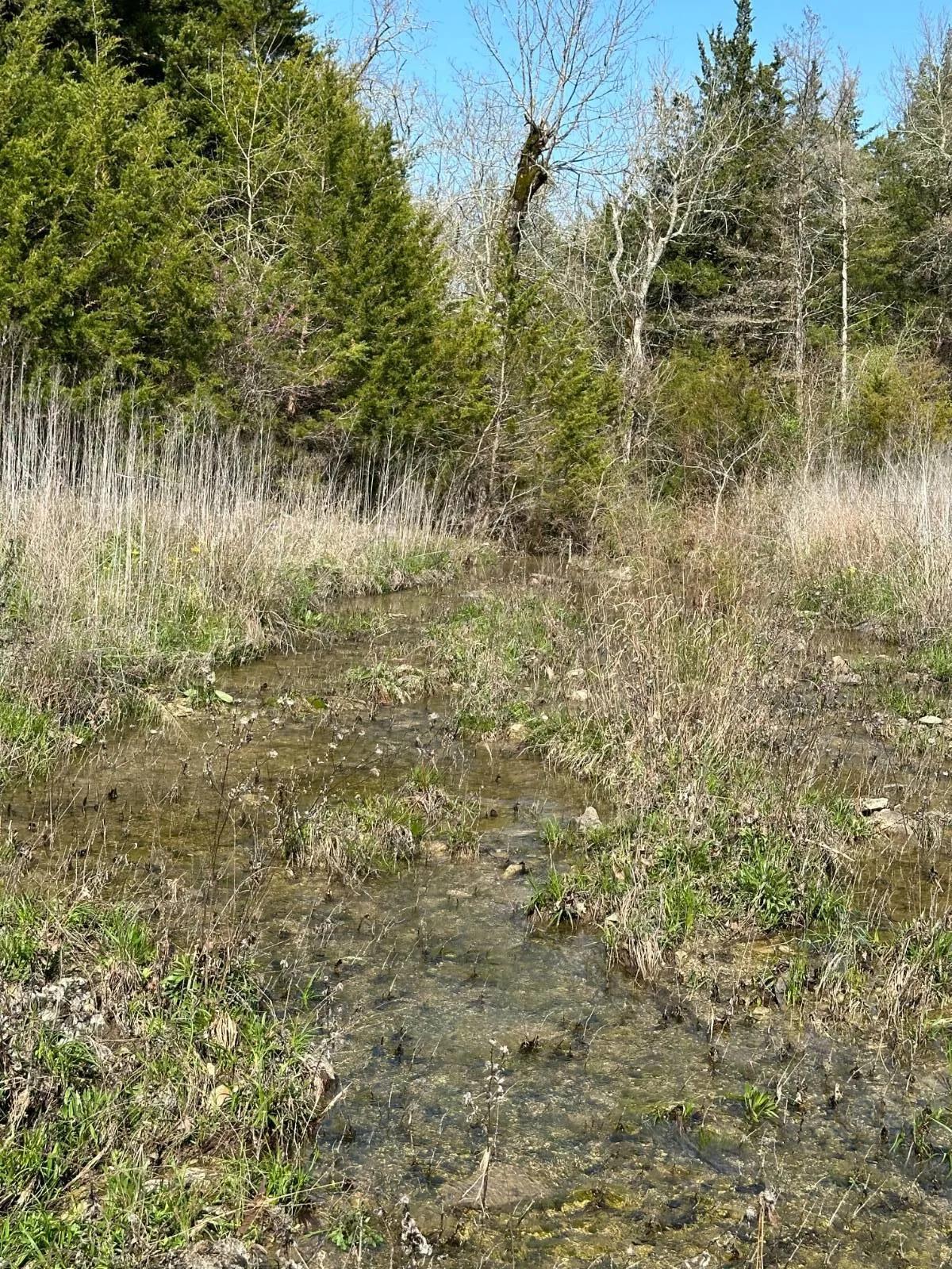 73257347-12