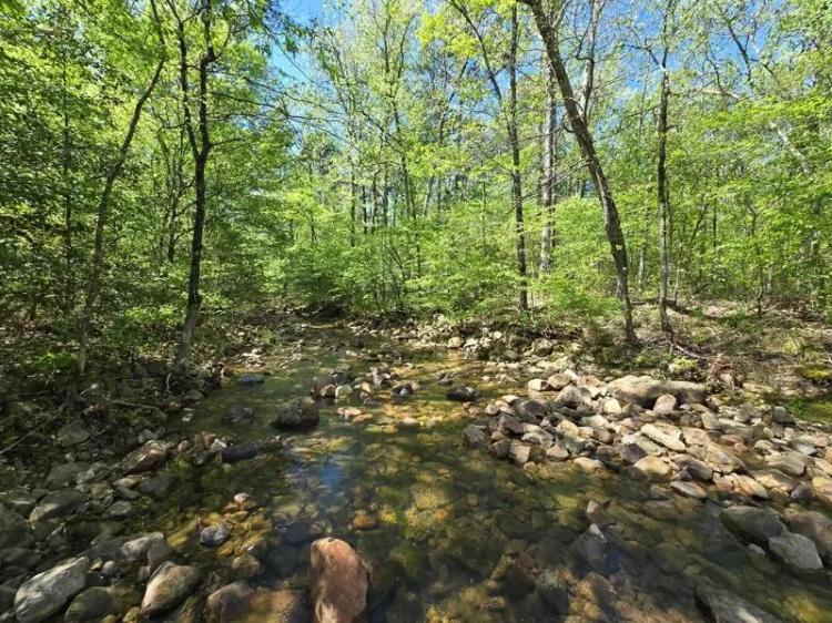 Whispering Pines Development - National Forest Frontage