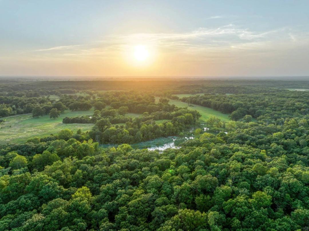 Deep Fork Timber/Wetland Farm