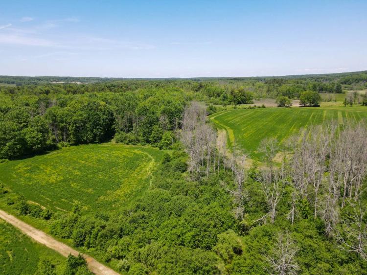 Vacant Land with Fields, Tillable, Woods, Road Frontage