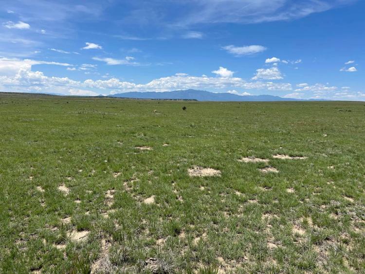 Lot 123e Turkey Ridge Ranch Filing 3, Walsenburg, CO 81089