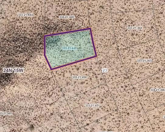 KINGMAN DREAM SPOT
