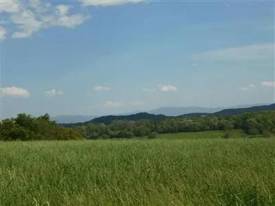 10.7 Acres on Mossy Creek