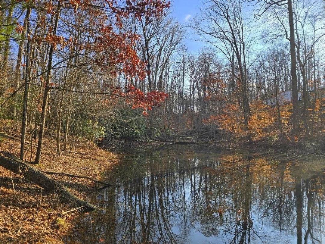 The Blackburn Wood 14 Acre land tr near the New River Gorge NP