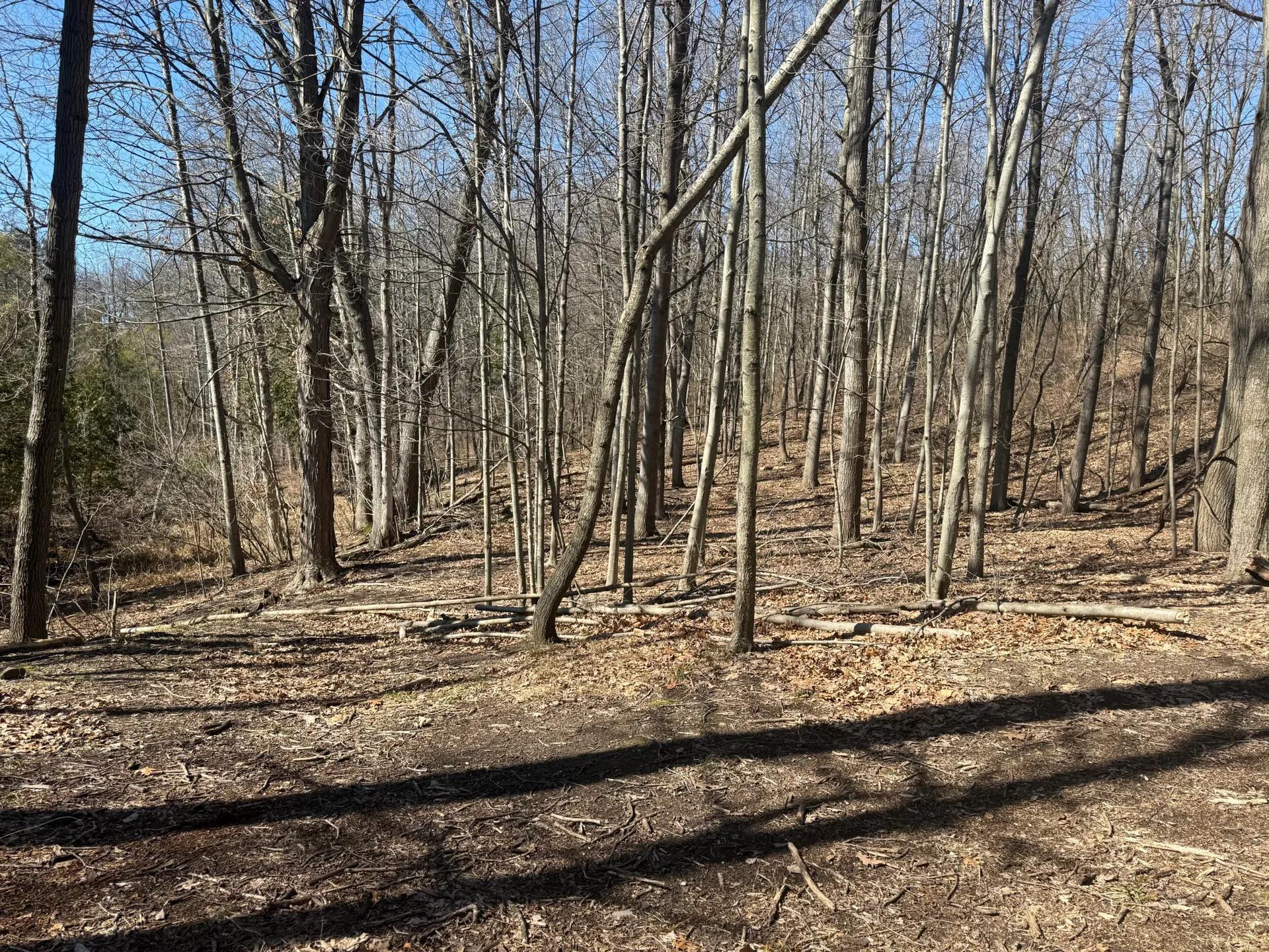 73457068-11