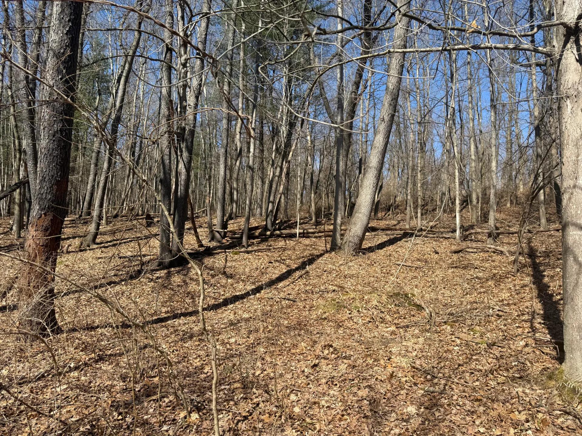 73457068-12