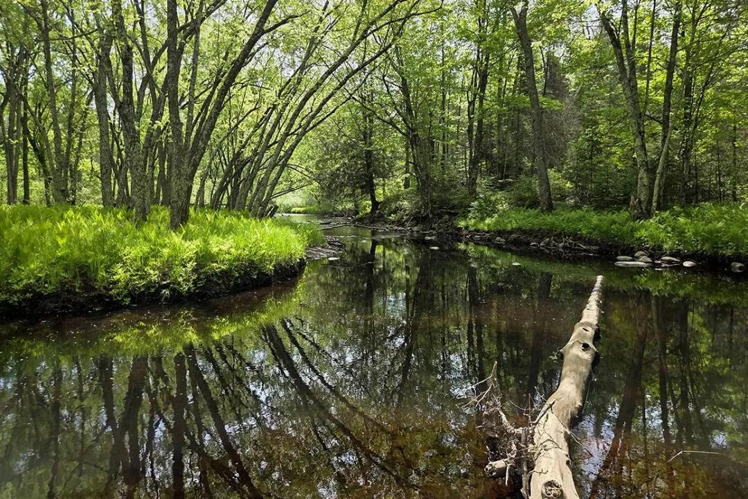 214 Feet of Somo River Frontage - Affordable Waterfront Acreage
