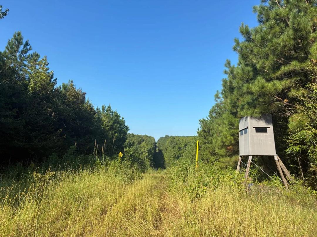 Duncanville 160+/- acres Tuscaloosa Co., AL