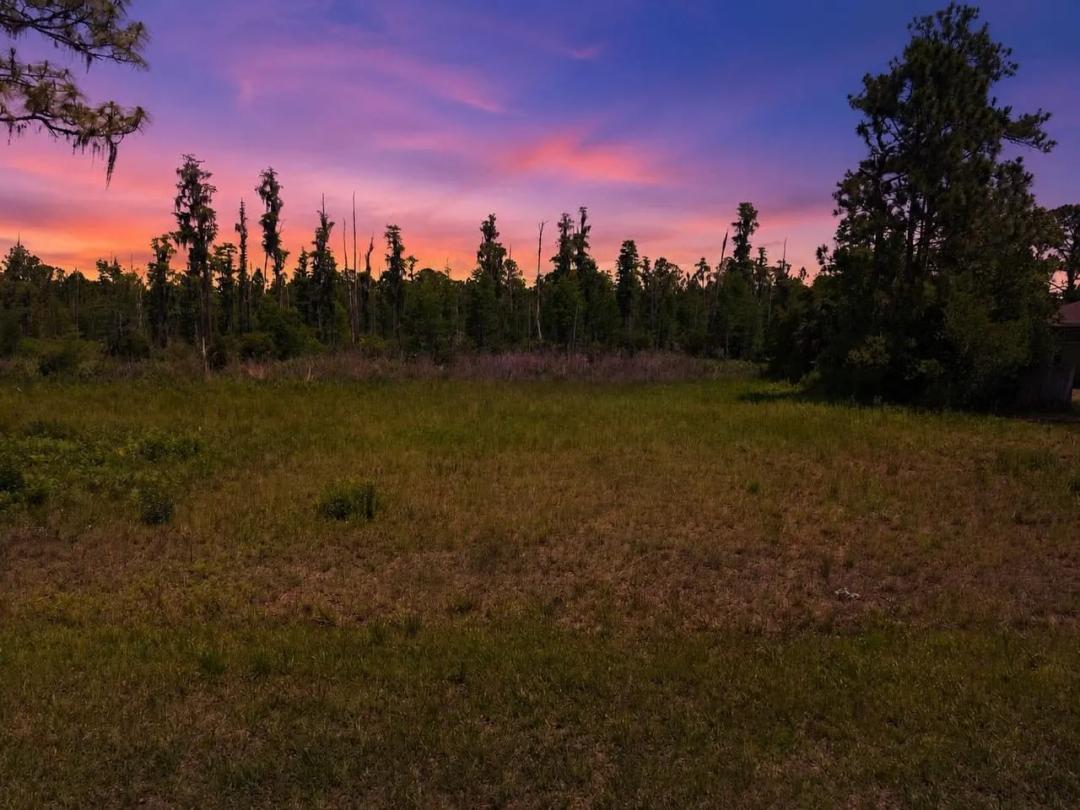 Vacant Wesley Chapel homesite
