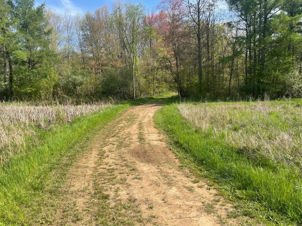 73575380-67