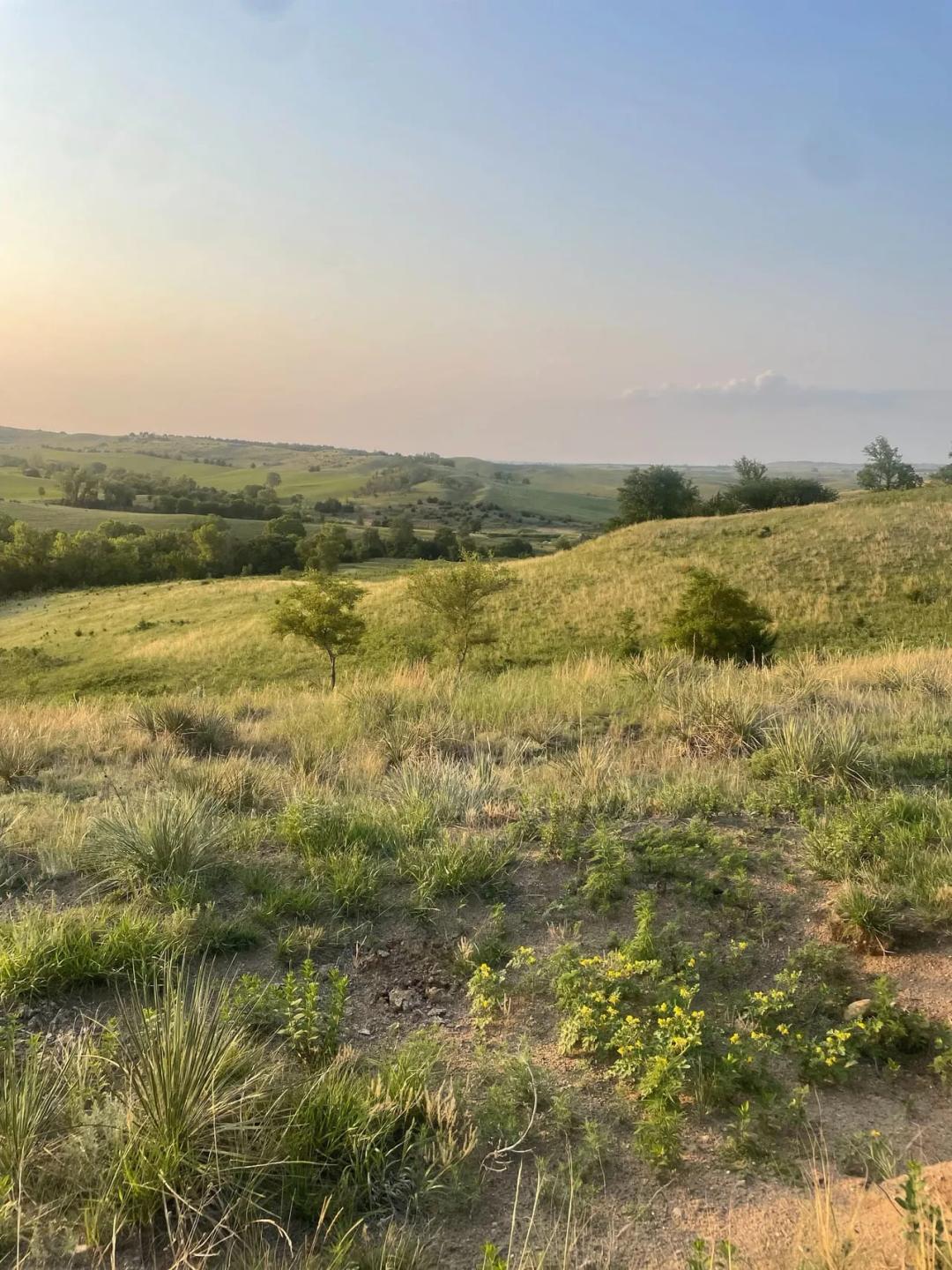 256.87 Acres +/- Rural Knox County, Nebraska