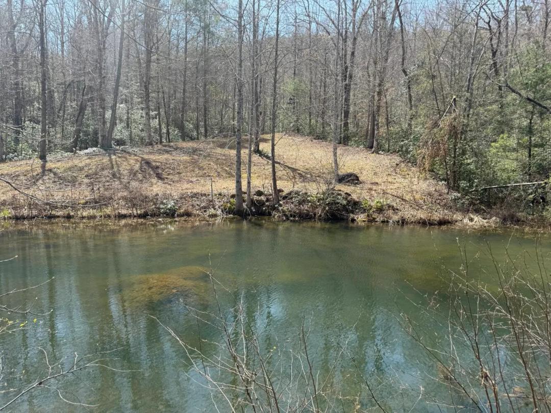 5.78 Acres at 142 Stone Valley Circle