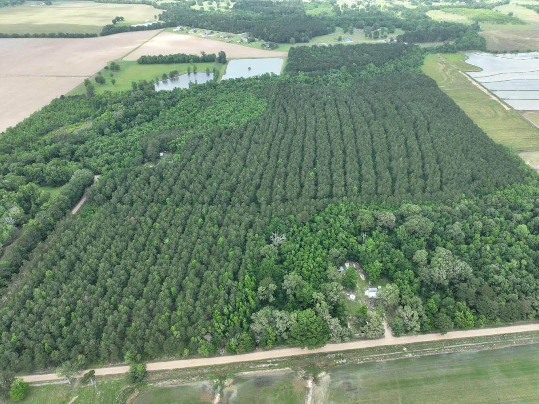 47.00 Acres at 0 Warren Camp Road
