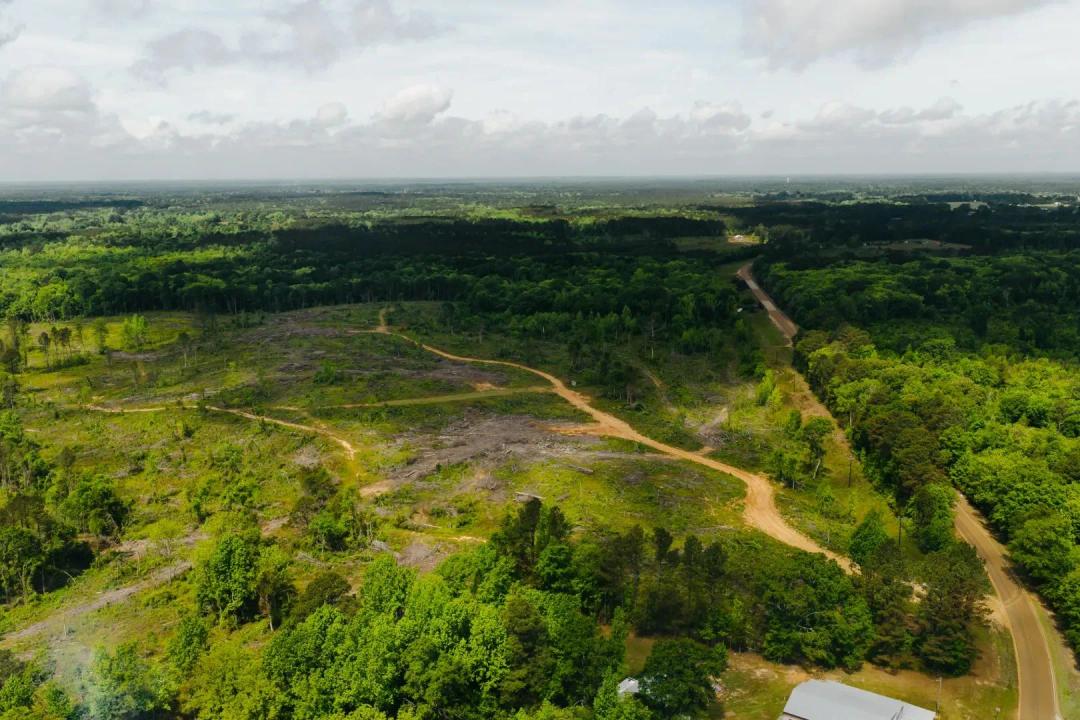 13 Acres in Winston County, MS 