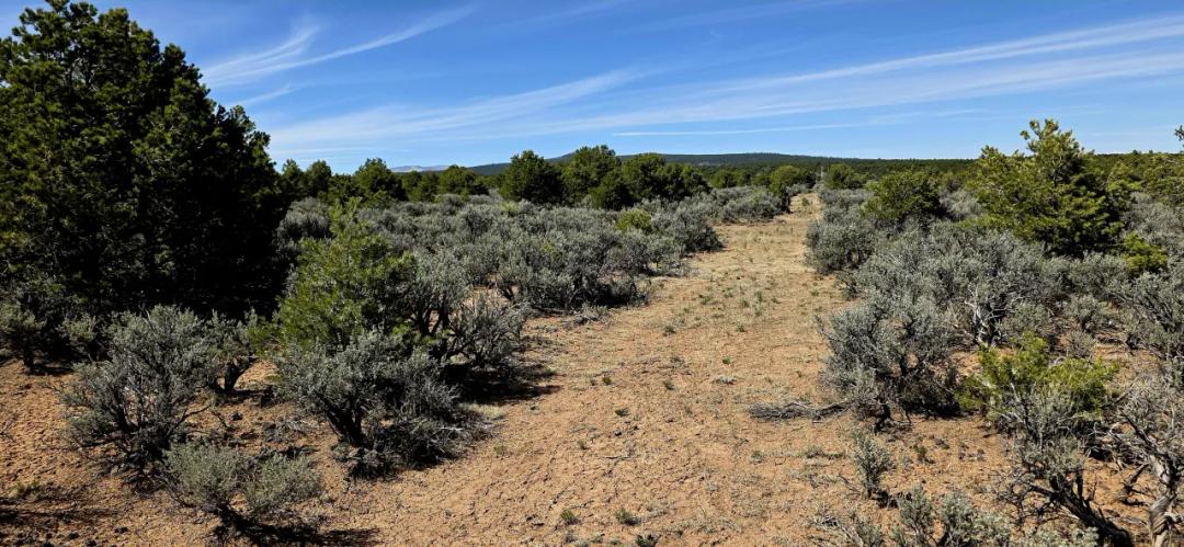Wide Open Views. Clear Blue Skies. Starry nights. 1 acre Taos New Mexico